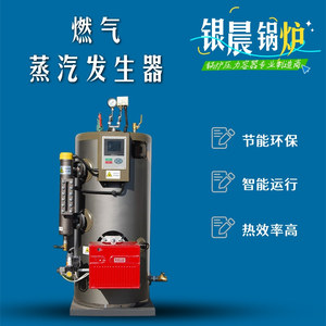 立式燃气(油)蒸汽发生器